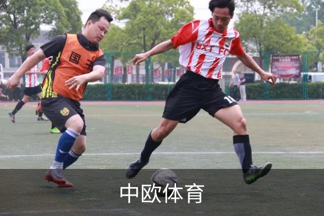 中欧体育